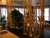 Бамбук декоративный в интерьере