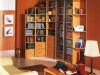 Шкаф для книг в интерьере, фото