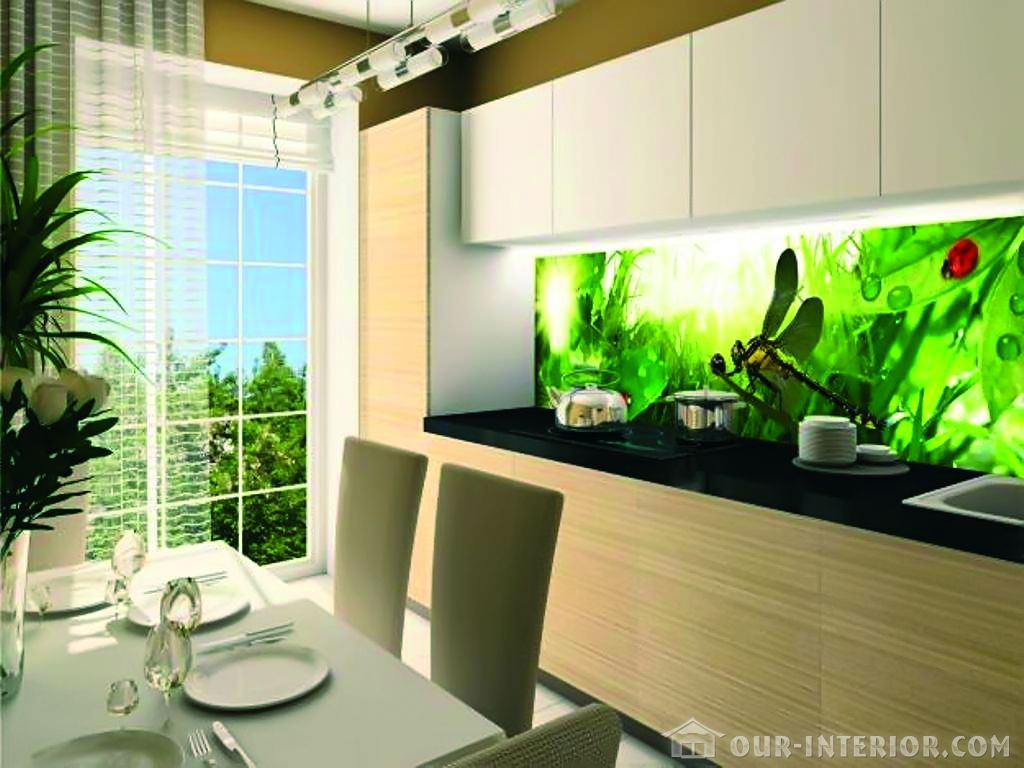 Дизайн кухни с панелями. Фартук кухонный. Стеклянные стеновые панели для кухни. Стеклянная панель для кухни. Декоративные панели для кухни.